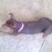 Ruth Streeter - Facebook