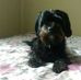 Ruth Sumner - Facebook