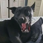 @ruths.umner - Instagram