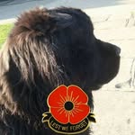 Ruth Sutton - @ruthsutts46 - Instagram