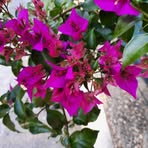 Ruth Swift - Facebook