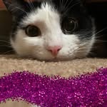 Ruth Ann Taber-Horne - @sailorvortex - Instagram