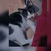 🌷🤍 - @ruthtaborga54 - TikTok