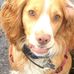 Ruth Tanner - Facebook