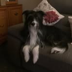 Ruth Toole - Facebook