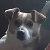 ruthotoole - @ruthotoole6 - TikTok