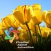 Ruth Triplett - Facebook