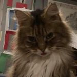 Ruth Trumbull Morris - @ruthtrumbull - Instagram
