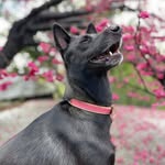 Ruth Tseng - @ruth.tseng.1 - Instagram