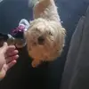 ruthvandykefuerte - @ruthvandykefuerte - TikTok