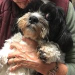 Ruth Vickers - @ruthievickers - Instagram
