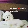 Ruth Pino Vines - @ruth.pino.vines2 - TikTok