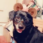 Ruth Vogt - @ruth04011964 - Instagram