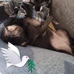 Ruth Vogt - @speedymops - Instagram