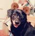 Ruth Vogt - Facebook