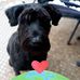 Ruth Vogt - Facebook