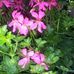 Ruth Vogt - Facebook