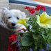 Ruth Wade - Facebook