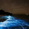 Ruth Wall - @ruthwall - TikTok