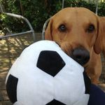 Ruth Walther - @doubleyoudot - Instagram
