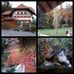 Ruth Walther - Facebook