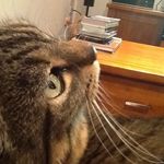 Ruth Webber - @webber4519 - Instagram