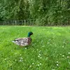 Ruthqwertzuio - @ruthqwer8 - TikTok
