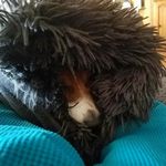 RuthAnn Westerman - @westermruthann - Instagram