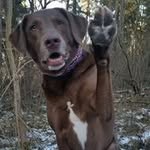 Ruth Westfall - @ruth11111968 - Instagram