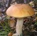 Ruth Wetzel - Facebook