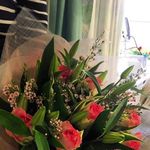 Ruth Whitmore - @ruth_whitmore - Instagram