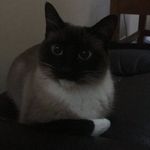 Ruth Whitmore-Doidge - @ruthwhitmoredoidge - Instagram