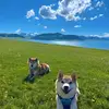 Ruth Wicks - @ruth.wicks6 - TikTok