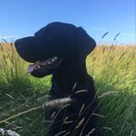 Ruth Wilcox - @fizzyroobarb - Instagram