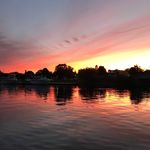 Ruth Wilcox - @ruthbwilcox - Instagram