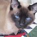 Ruth Wiley - Facebook