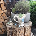Ruth Wilhelm - @gartenruthli - Instagram