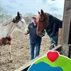Wilhelm Ruthe - @wilhelm.ruthe - TikTok