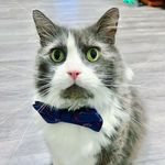 Willøughby C. Rutherførd - @willoughby_rutherford - Instagram
