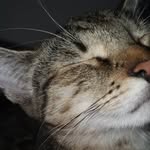 ruthhurricane1233 - @ruthwindhurricane - Instagram
