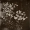 Layne and Ruth - @layneandruthwinstonn - TikTok