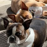 Ruth & Winston - @ruthandwinston - Instagram