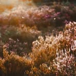 Ruth Winters - Facebook
