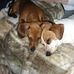Ruth Worley - Facebook