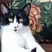 Ruth Worley - Facebook