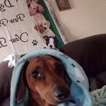 Ruth Worley - @ruth.worley.355 - Instagram