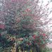 Ruth Wuest - Facebook