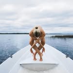 Ruth Collins - @ruth_collins_wulffloedv5533 - Instagram
