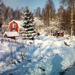 Ruth Zimmermann - @ruth_ziimmermann47 - Instagram