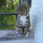 Ruth Zimmermann - @zimmru7307 - Instagram